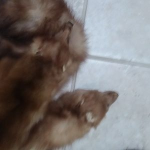 Authentic Stone Martin